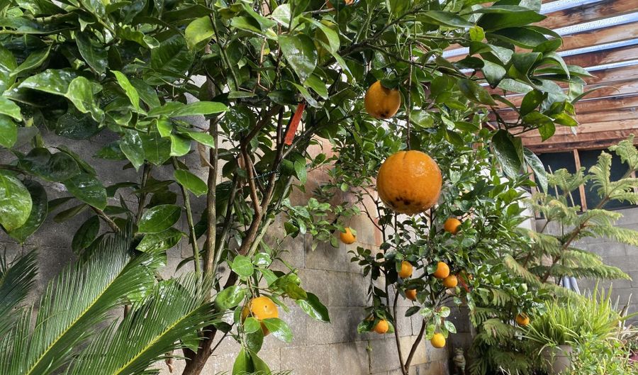 79 AUBURN FOREST Rd, Afton, WY 83110 - 3 Beds, null Bath