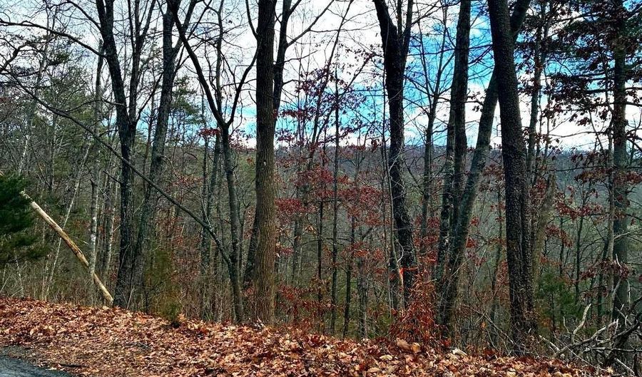 SPITZ Lane, Basye, VA 22810 - 0 Beds, 0 Bath