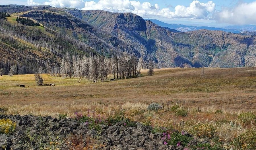 00 Cuddy Mountain Mineral Land, Cambridge, ID 83610 - 0 Beds, 0 Bath