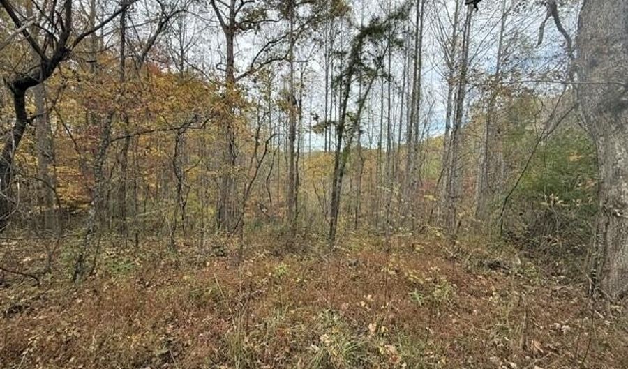 123 Crestmont-hales Rdg, Beattyville, KY 41311 - 0 Beds, 0 Bath