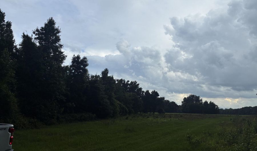 2227 Goward Rd, Alcolu, SC 29001 - 0 Beds, 0 Bath