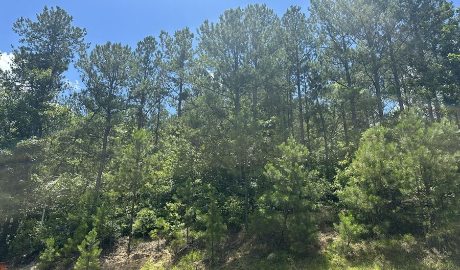 Lot 27 Honeysuckle Trail, Lincolnton, GA 30817 - 0 Beds, 0 Bath