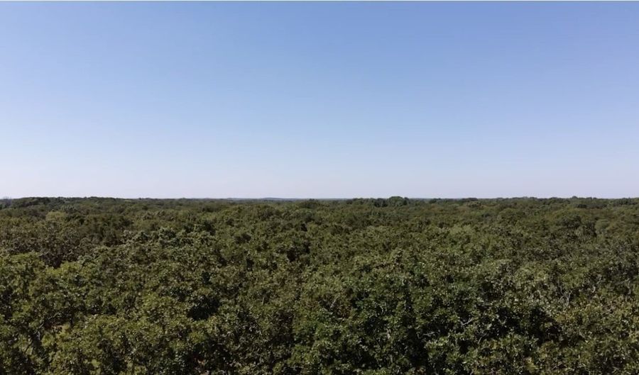 Saddle Creek Ct. lot 19, Alba, TX 75410 - 0 Beds, 0 Bath
