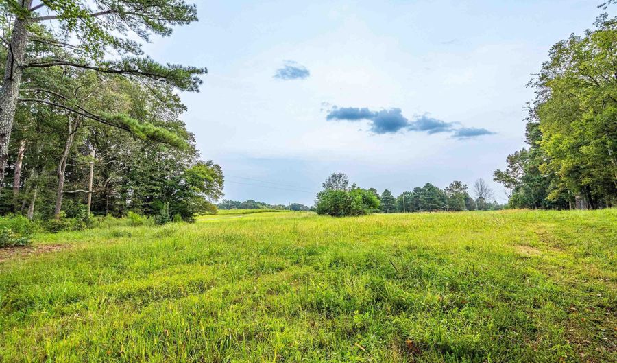 Tract 1 Highway 99, Anderson, AL 35610 - 0 Beds, 0 Bath