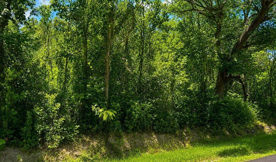 11011 Heron St Lot 12, Bay St. Louis, MS 39520 - 0 Beds, 0 Bath