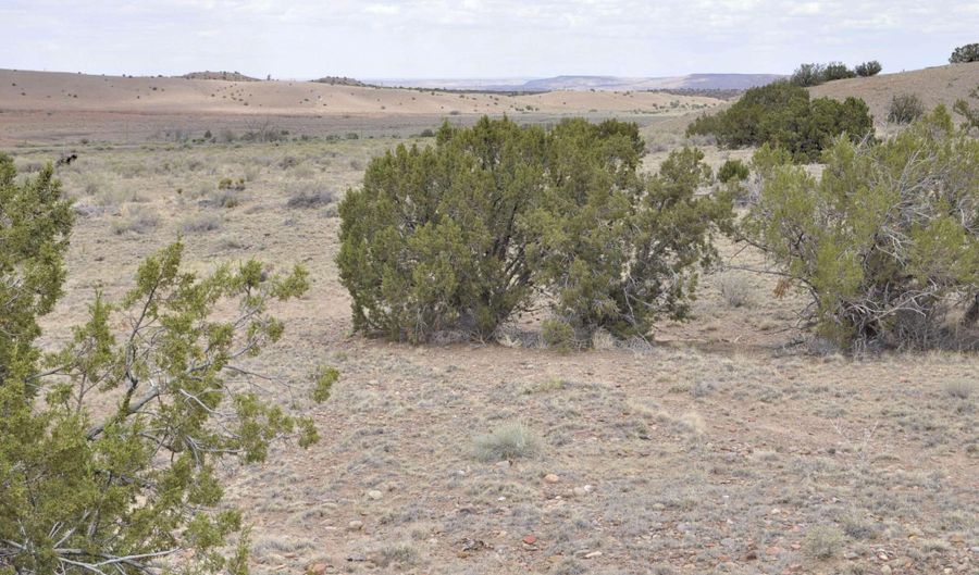 88 B County Road 5035, Concho, AZ 85924 - 0 Beds, 0 Bath