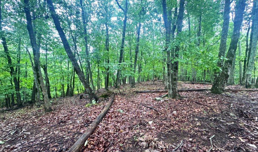 Planters Pointe Terrace, Baldwin, GA 30511 - 0 Beds, 0 Bath