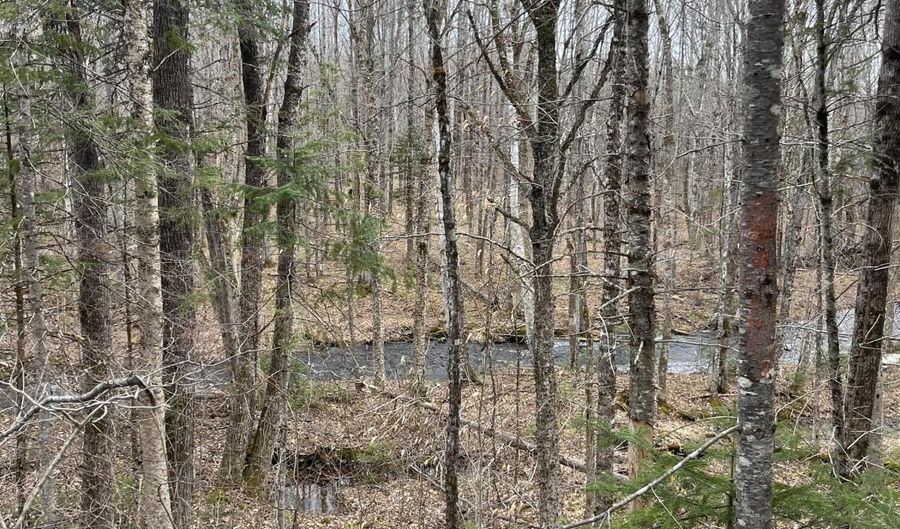 M6L16 Meadowbrook Road, Amity, ME 04471 - 0 Beds, 0 Bath