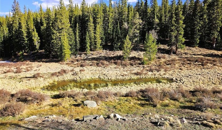 PCS # 7765 & 12057 Rollies Trail lot 0, Alma, CO 80420 - 0 Beds, 0 Bath