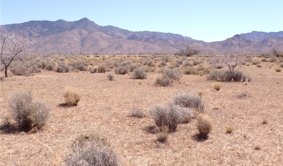308-19 248 N Abeche Dr, Chloride, AZ 86431 - 0 Beds, 0 Bath