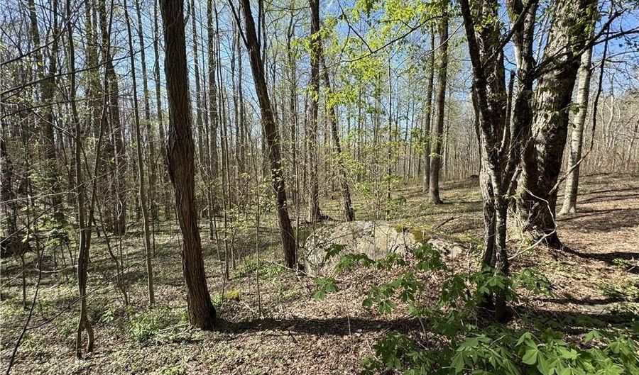 Tbd Katie Lane, Bakersville, NC 28705 - 0 Beds, 0 Bath