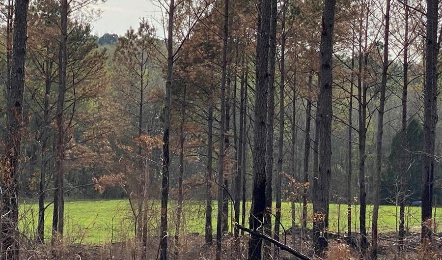 03 County Road 6650, Banks, AL 36005 - 0 Beds, 0 Bath