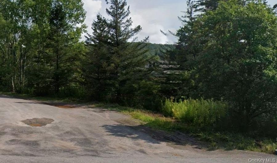 00 Crescent Hill Rd, Andes, NY 13731 - 0 Beds, 0 Bath
