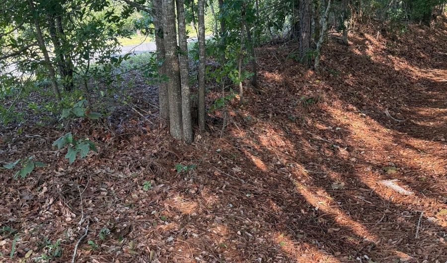 0 Huckleberry Finn Rd, Batesburg Leesville, SC 29006 - 0 Beds, 0 Bath