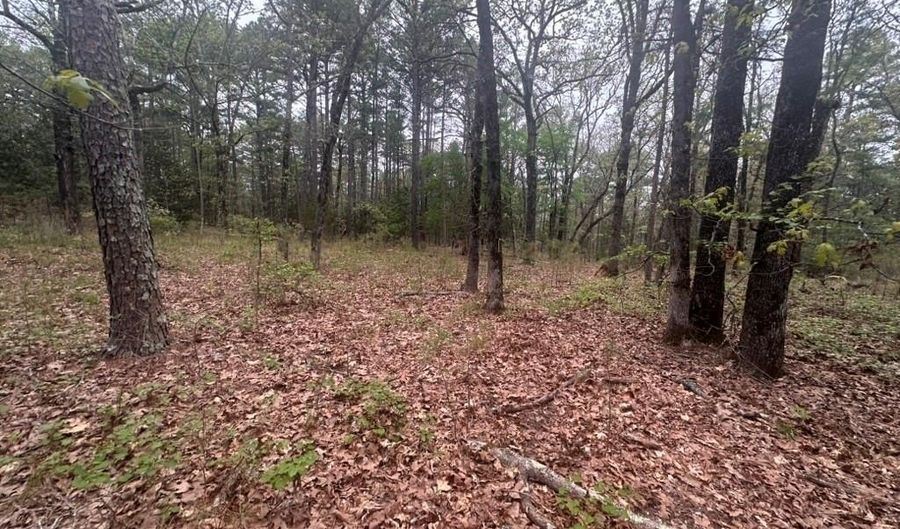 UNIT # 263B KIAMICHI WILDERNESS RD Unit # 63 63, Antlers, OK 74523 - 0 Beds, 0 Bath