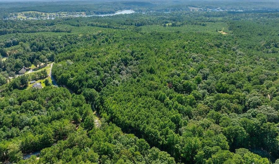000 McCoy Pointe Dr, Arley, AL 35541 - 0 Beds, 0 Bath
