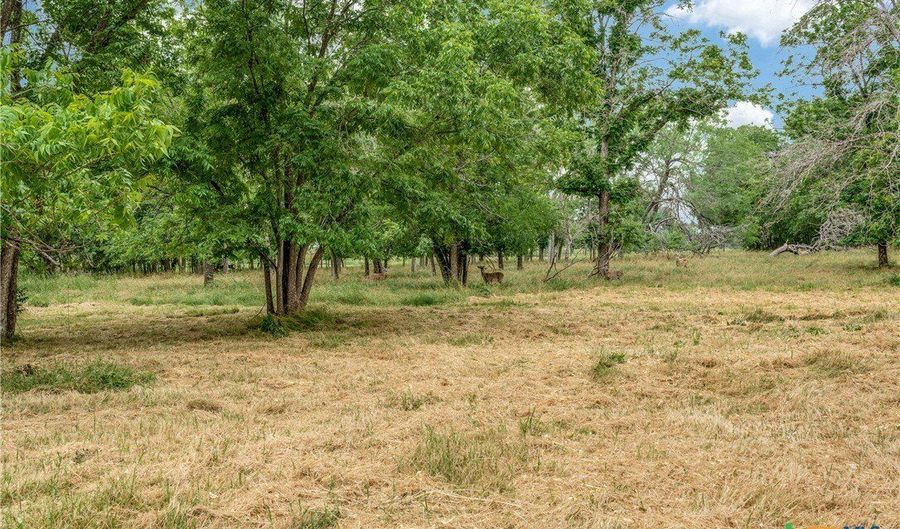 10767 Rosemar Ln, Adkins, TX 78101 - 3 Beds, 3 Bath