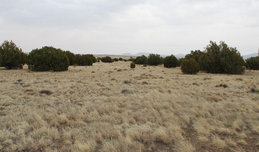 21 County Rd, Concho, AZ 85924 - 0 Beds, 0 Bath