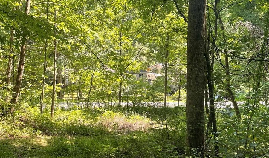99999 Martins Creek Rd, Barnardsville, NC 28709 - 0 Beds, 0 Bath