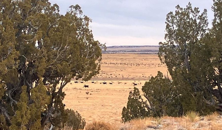 County Road 91.9, Aguilar, CO 81020 - 0 Beds, 0 Bath
