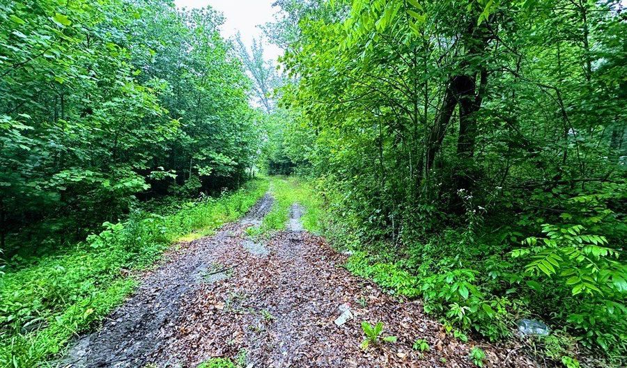 13 44 Ac Chestnut Ridge Rd, Allardt, TN 38504 - 0 Beds, 0 Bath