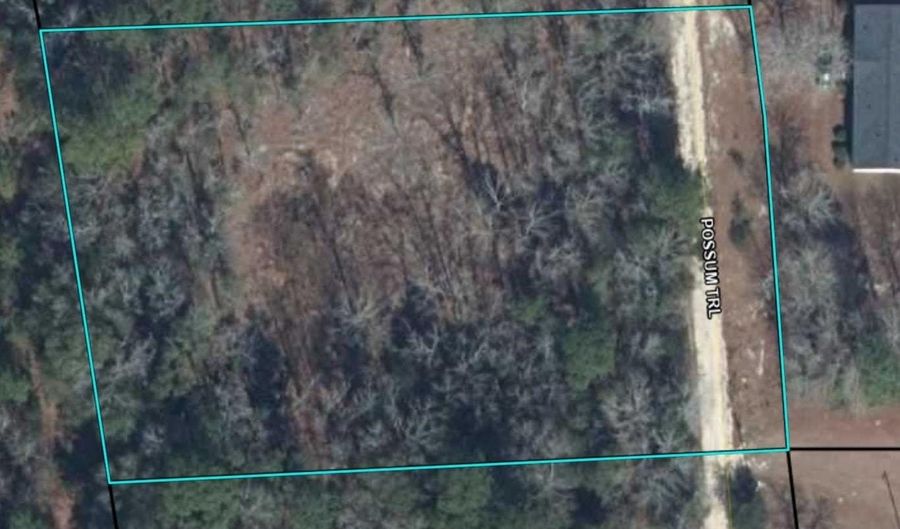 Possum Trail, Bamberg, SC 29003 - 0 Beds, 0 Bath