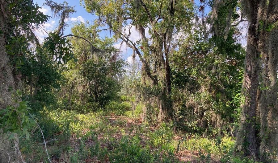 3 RD Ave, Babson Park, FL 33827 - 0 Beds, 0 Bath