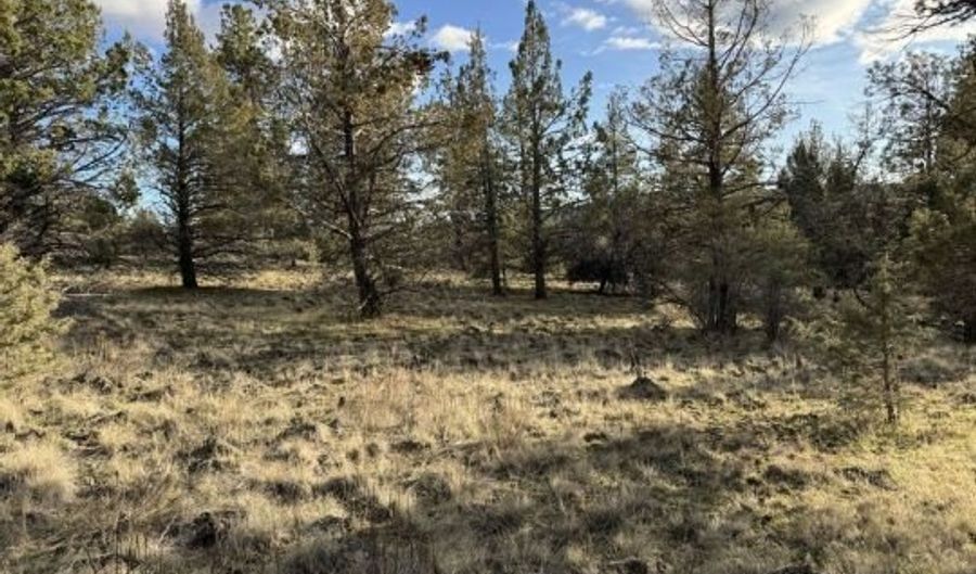 Canvasback Dr, Bonanza, OR 97623 - 0 Beds, 0 Bath