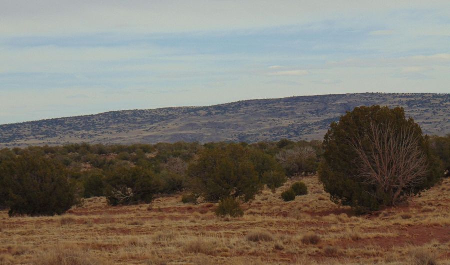 42 N5576, Concho, AZ 85924 - 0 Beds, 0 Bath