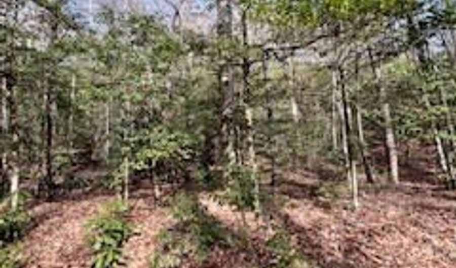 Morris Creek Road lot 2, Andrews, NC 28901 - 0 Beds, 0 Bath