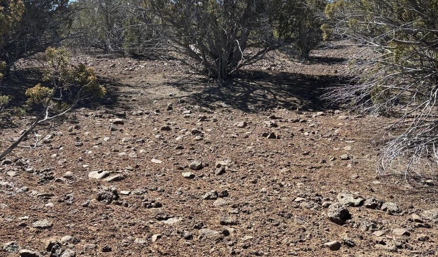 30 County Rd, Concho, AZ 85924 - 0 Beds, 0 Bath