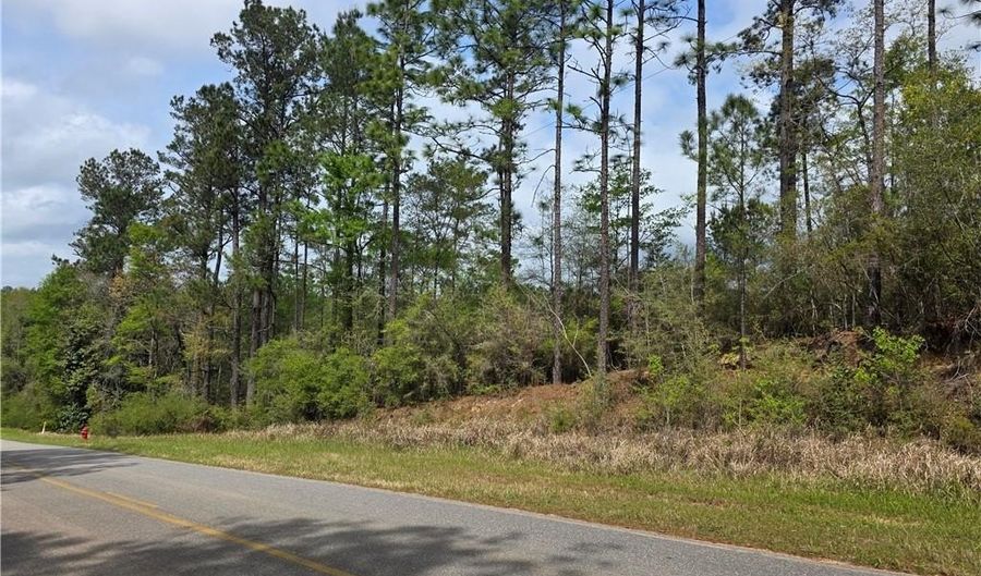12287 Red Hill Road Ext, Bay Minette, AL 36507 - 0 Beds, 0 Bath