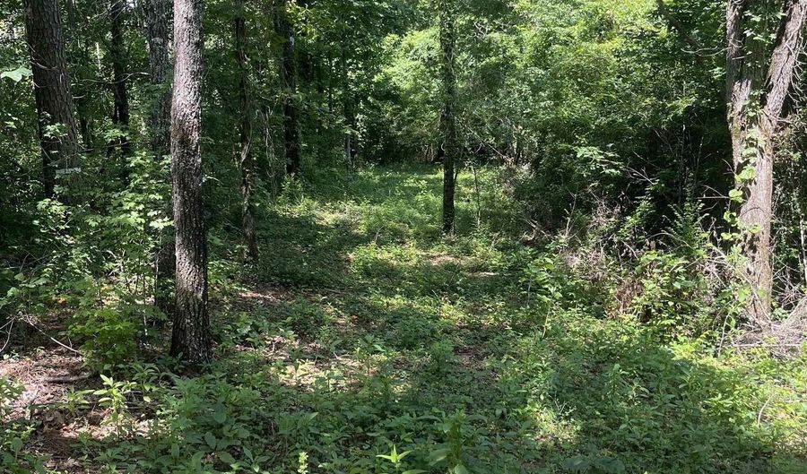 385 CARR Rd, Alpine, AL 35014 - 0 Beds, 0 Bath