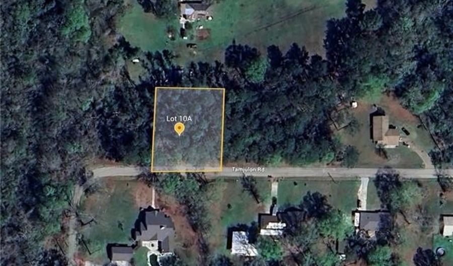 Lot 10A TAMJULON Road, Albany, LA 70711 - 0 Beds, 0 Bath