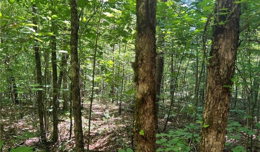 Fortner Road, Ball Ground, GA 30107 - 0 Beds, 0 Bath