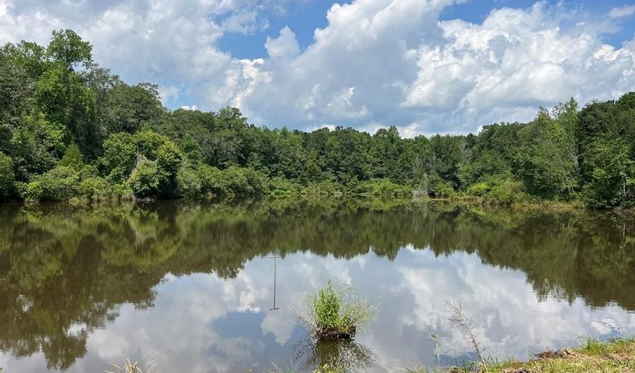 TBD County Road 40, Abbeville, AL 36310 - 0 Beds, 0 Bath