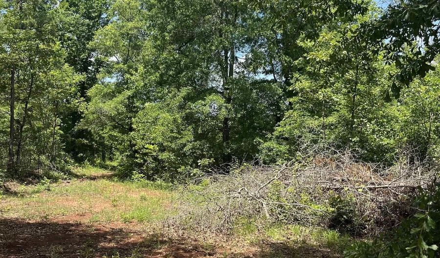 385 CARR Rd, Alpine, AL 35014 - 0 Beds, 0 Bath