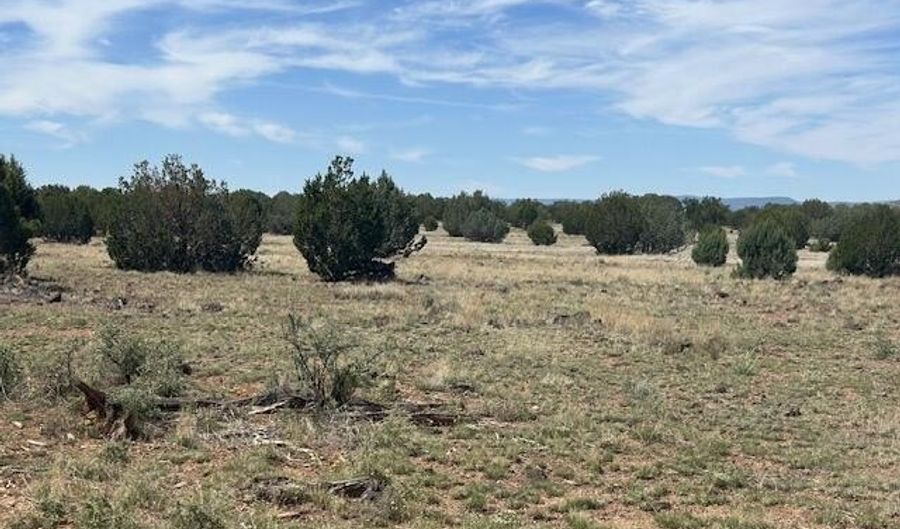 Lot 43se Tides Trl, Ash Fork, AZ 86320 - 0 Beds, 0 Bath