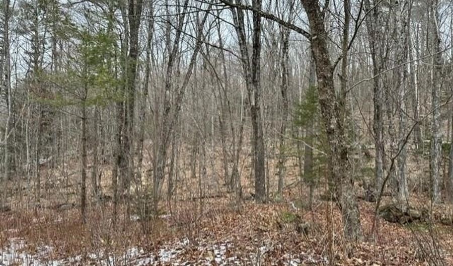 10-3 18 Myrtle St, Campton, NH 03223 - 0 Beds, 0 Bath