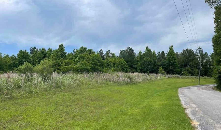 601 Calico Ct, Alberta, AL 36720 - 0 Beds, 0 Bath