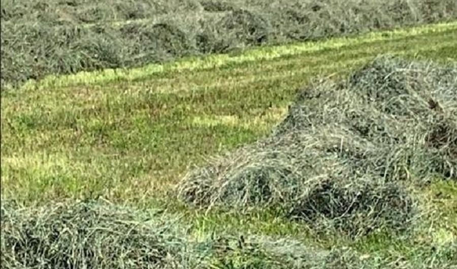 Lot 1 Highway 550, Montrose, CO 81403 - 0 Beds, 0 Bath