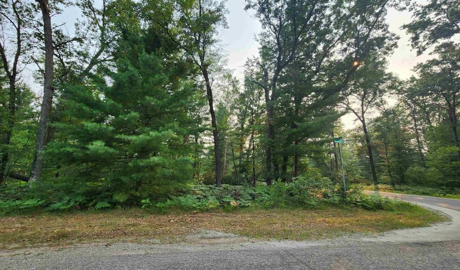 Lot 98 Wilderness, Alger, MI 48610 - 0 Beds, 0 Bath