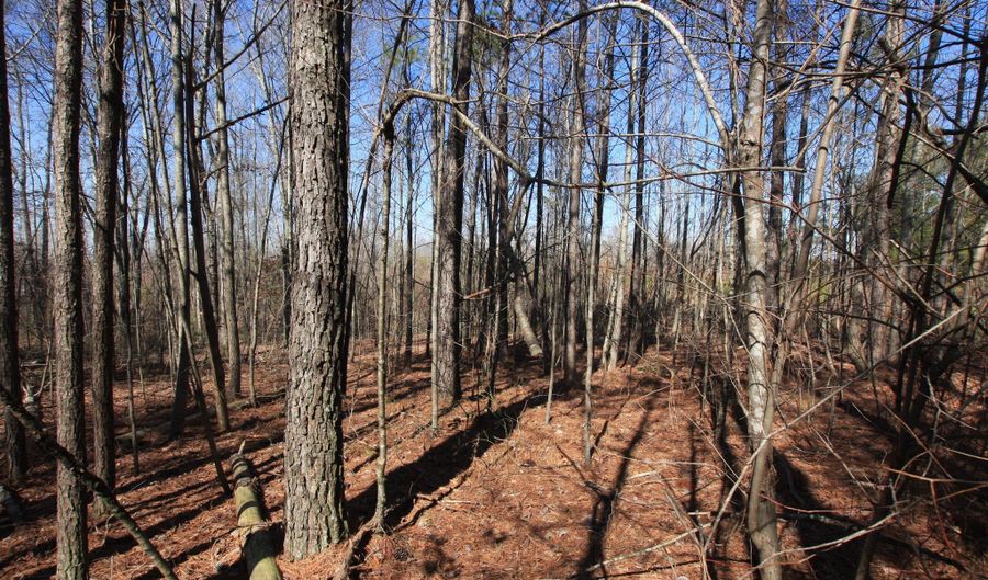 0 Highway 100, Tallapoosa, GA 30176 - 0 Beds, 0 Bath