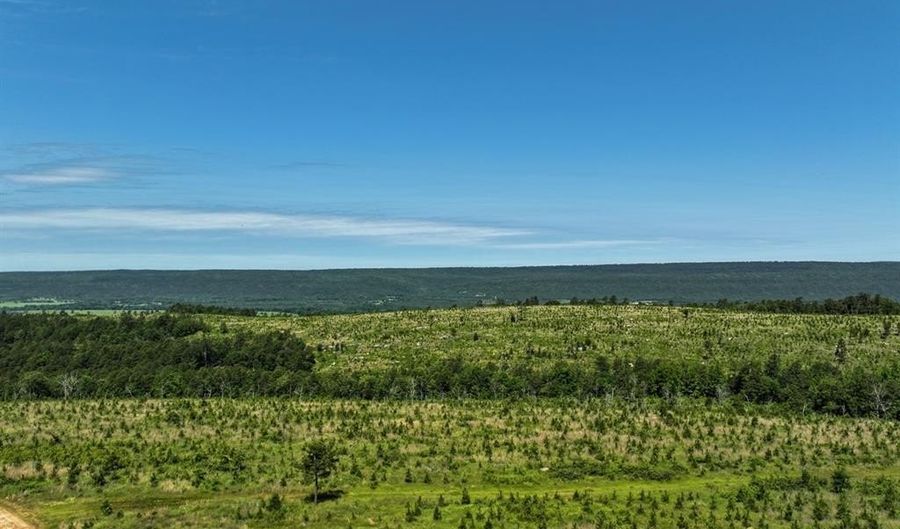 1 Off N4220, Antlers, OK 74523 - 0 Beds, 0 Bath