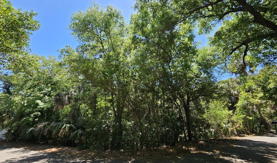 30 Sabal Palm Trl Lot 893, Bald Head Island, NC 28461 - 0 Beds, 0 Bath