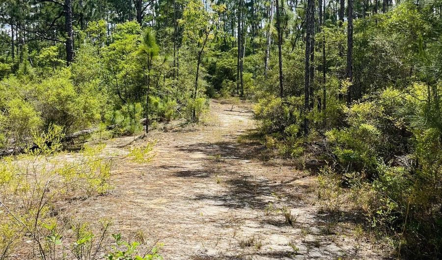 Chaco Circle, Alford, FL 32420 - 0 Beds, 0 Bath