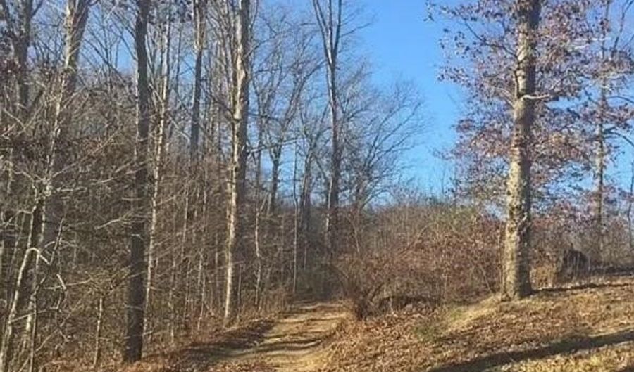 3129 Straight Frk, Alkol, WV 25501 - 0 Beds, 0 Bath