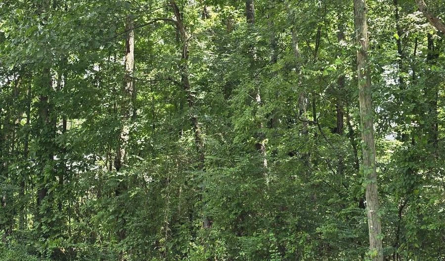 46 Acres 10th St NW, Arab, AL 35016 - 0 Beds, 0 Bath