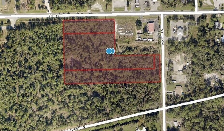 SR 40 Alco Road, Astor, FL 32102 - 0 Beds, 0 Bath