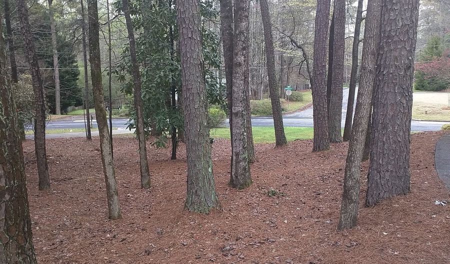 505 Summerhill Pl, Alpharetta, GA 30022 - 3 Beds, 2 Bath